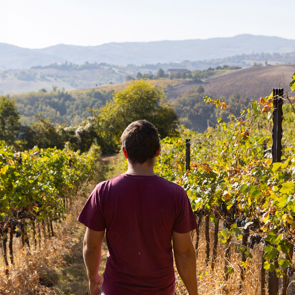 PaesaggioCampagna3_GiovannaBortoliFotografia